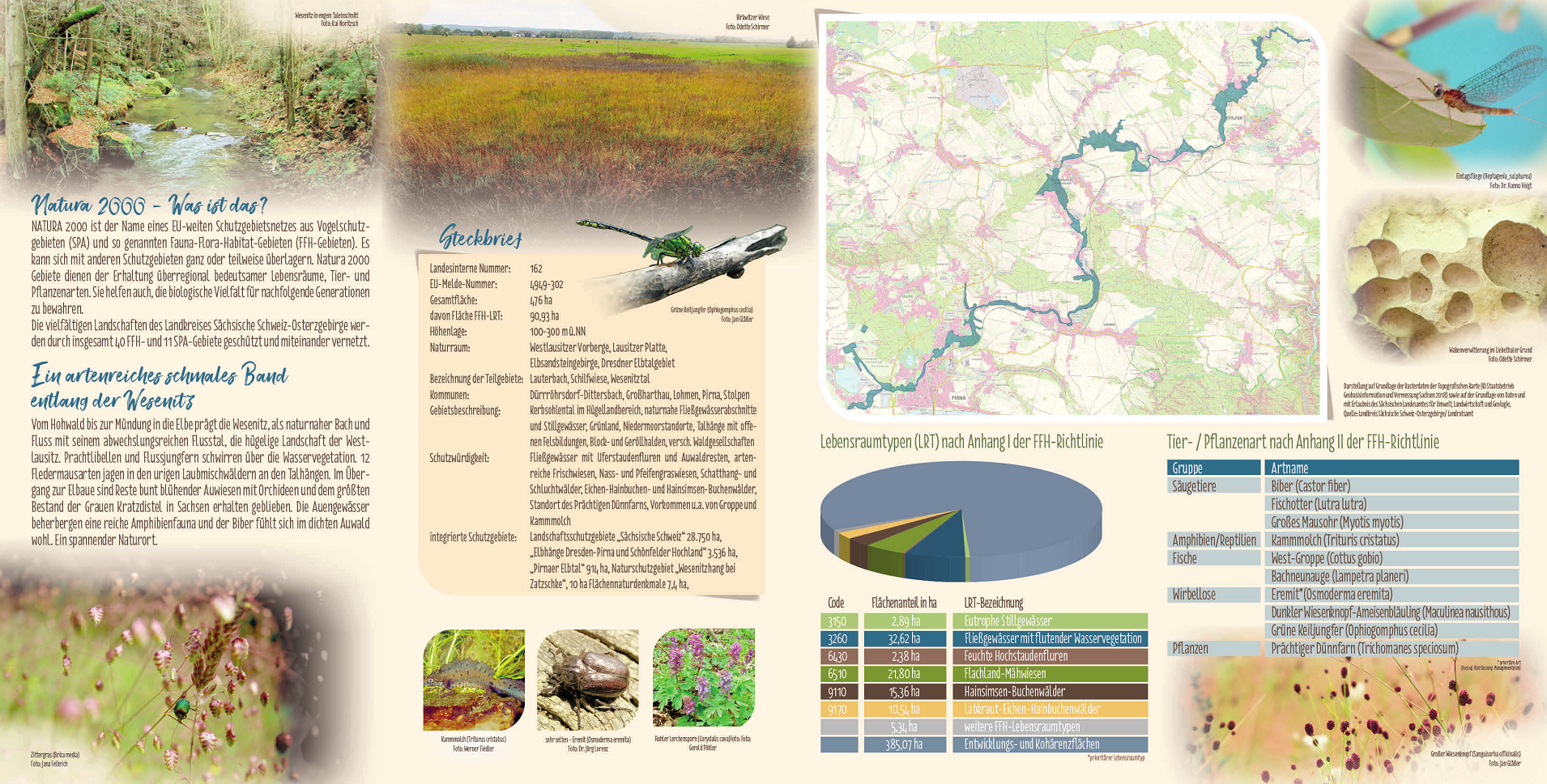 tl_files/downloads/Bilder Projekte/Projektstellen/Natura 2000 1.0/Flyer/FFH-Gebiet_Wesenitztal_2.png